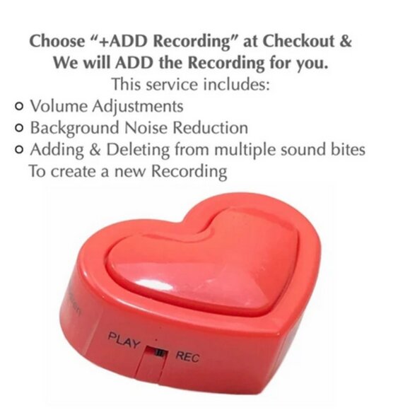 Adorable Bear with Voice Recorder NWT - Picture 9 of 9